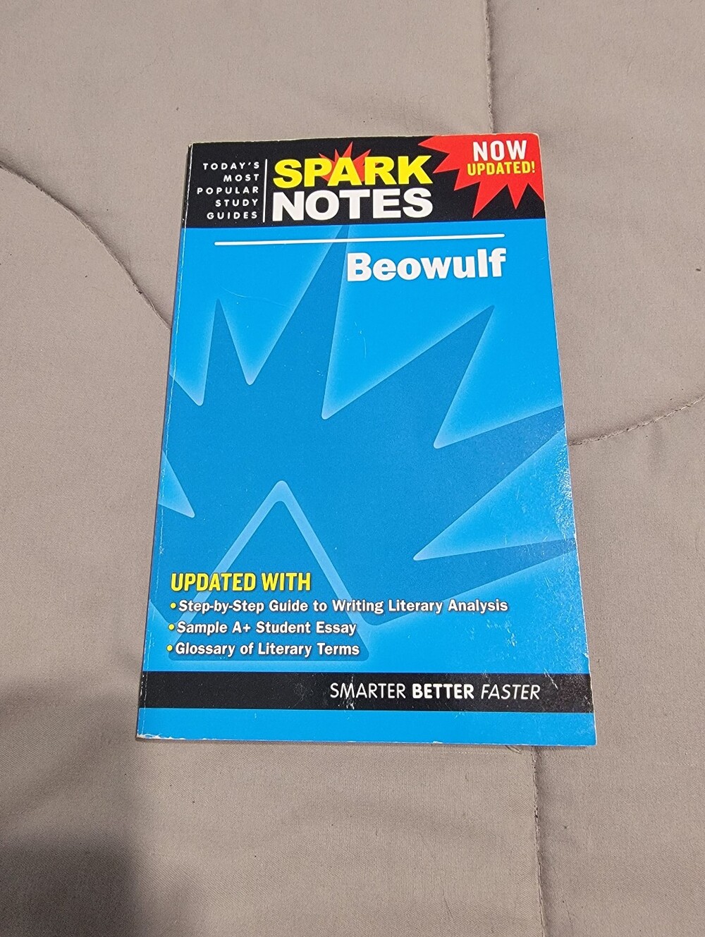 SparkNotes Literature Guide for Beowulf